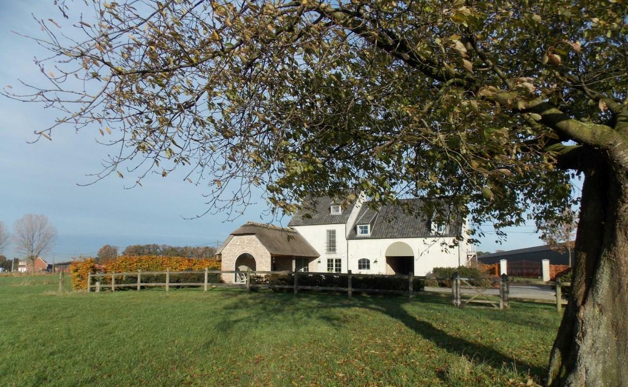 Bed and Breakfast De Weide Poort Beerse Esterno foto