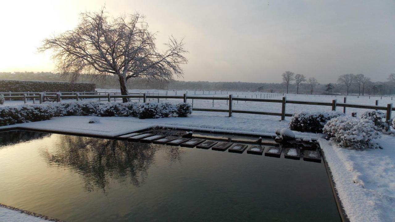 Bed and Breakfast De Weide Poort Beerse Esterno foto